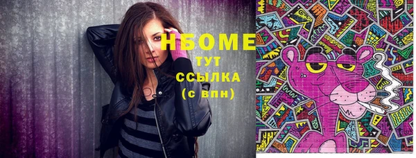 шишки Аркадак