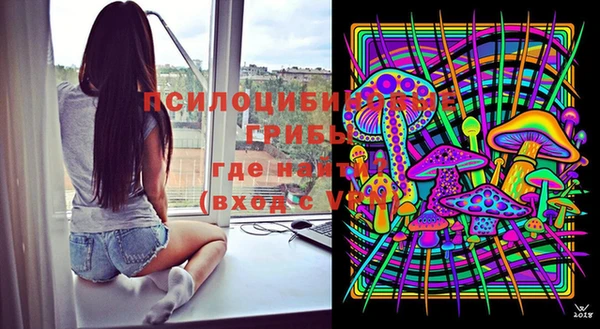 apvp Балахна
