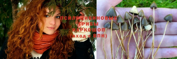 скорость Арсеньев