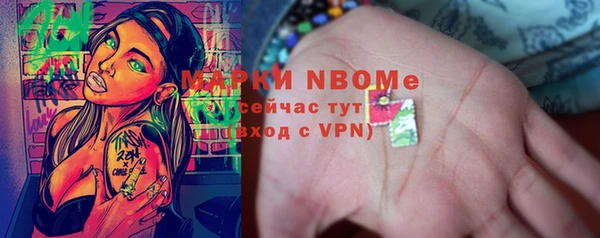 шишки Аркадак